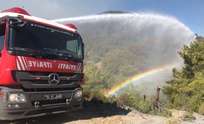 Hacı Bektaş Veli Festivali Ertelendi