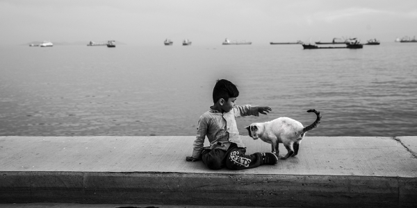 Zeytinburnu 9. Fotoğraf Yarışması’na Başvurular Başladı