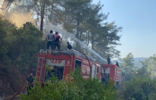 İBB’nin Ekipleri Üç Gündür Yangınlara Müdahale...