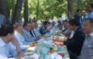 Ak Parti Zeytinburnu üyeleri piknikte buluştu
