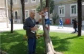 Surp Pırgiç Ermeni Hastanesi bahçesi 